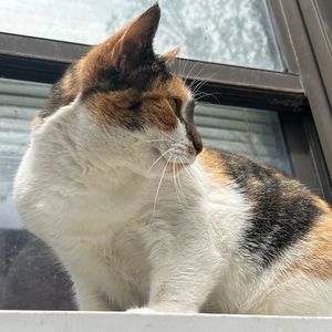 Meet your Posher, Audrey